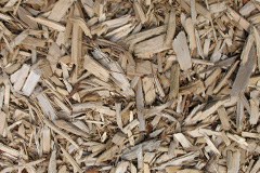 biomass boilers Felin Crai